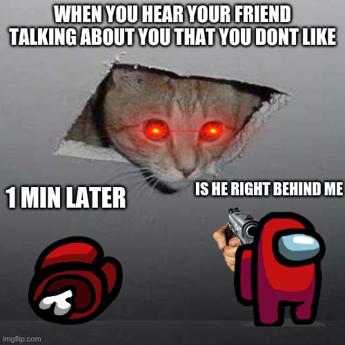 Ceiling Cat Meme | WHEN YOU HEAR YOUR FRIEND TALKING ABOUT YOU THAT YOU DONT LIKE; IS HE RIGHT BEHIND ME; 1 MIN LATER | image tagged in memes,ceiling cat | made w/ Imgflip meme maker