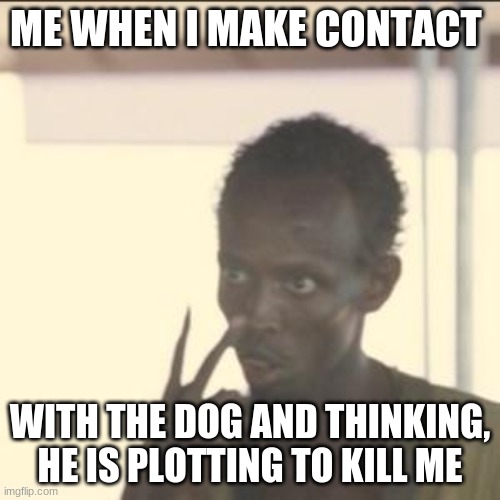 Look At Me Meme | ME WHEN I MAKE CONTACT; WITH THE DOG AND THINKING, HE IS PLOTTING TO KILL ME | image tagged in memes,look at me | made w/ Imgflip meme maker
