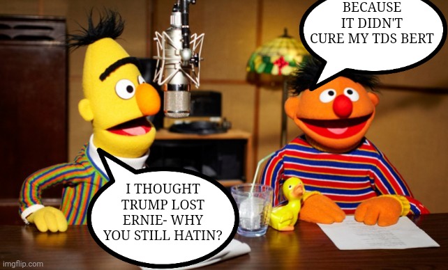Bert And Ernie Radio | I THOUGHT TRUMP LOST ERNIE- WHY YOU STILL HATIN? BECAUSE IT DIDN'T CURE MY TDS BERT | image tagged in bert and ernie radio | made w/ Imgflip meme maker
