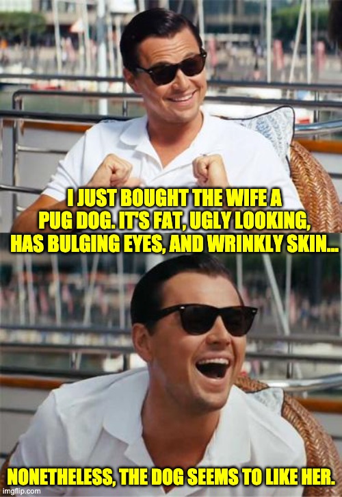 Pug | I JUST BOUGHT THE WIFE A PUG DOG. IT'S FAT, UGLY LOOKING, HAS BULGING EYES, AND WRINKLY SKIN... NONETHELESS, THE DOG SEEMS TO LIKE HER. | image tagged in leonardo dicaprio wall street | made w/ Imgflip meme maker