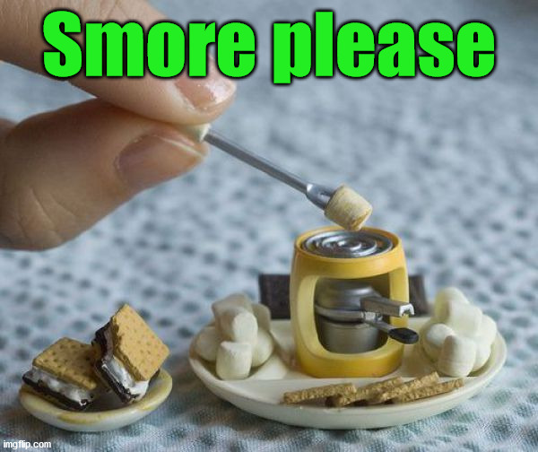 Smore please | image tagged in eye roll | made w/ Imgflip meme maker