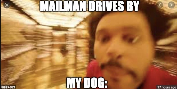 MAILMAN DRIVES BY; MY DOG: | made w/ Imgflip meme maker