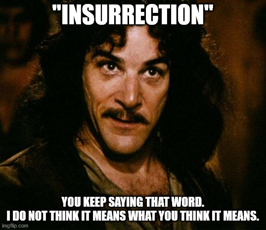 Insurrection | "INSURRECTION"; YOU KEEP SAYING THAT WORD.
I DO NOT THINK IT MEANS WHAT YOU THINK IT MEANS. | image tagged in memes,inigo montoya,political humor,political meme,parody | made w/ Imgflip meme maker