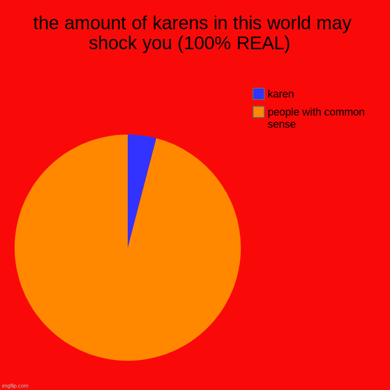 karen stopping program starts here | the amount of karens in this world may shock you (100% REAL)  | people with common sense , karen | image tagged in charts,pie charts | made w/ Imgflip chart maker