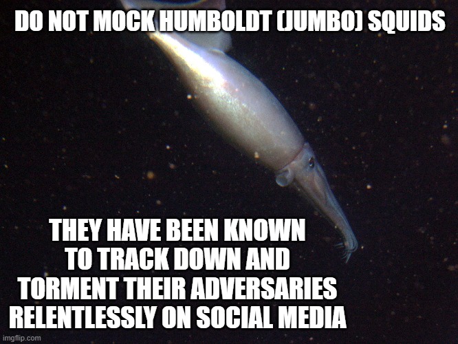 Important Advice | DO NOT MOCK HUMBOLDT (JUMBO) SQUIDS; THEY HAVE BEEN KNOWN TO TRACK DOWN AND TORMENT THEIR ADVERSARIES RELENTLESSLY ON SOCIAL MEDIA | image tagged in jumbo squid,advice,social media | made w/ Imgflip meme maker