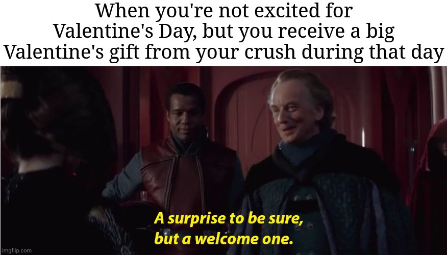 What a surprise | When you're not excited for Valentine's Day, but you receive a big Valentine's gift from your crush during that day | image tagged in a suprise to be sure but a welcome one,funny,memes,meme,blank white template,valentine's day | made w/ Imgflip meme maker