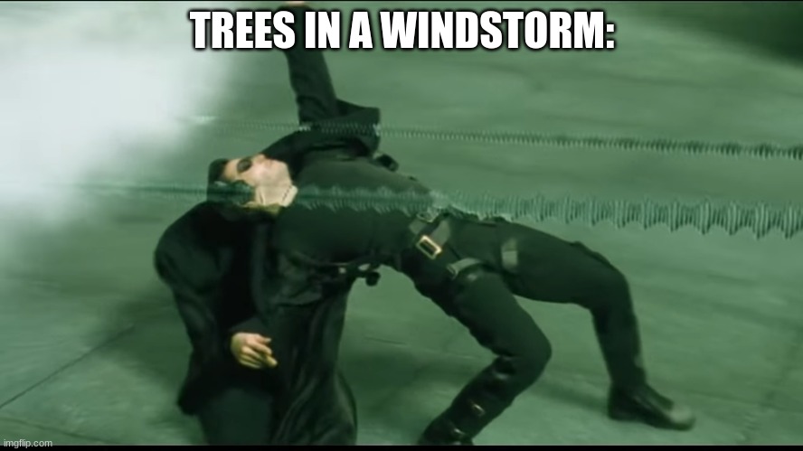 blow | TREES IN A WINDSTORM: | image tagged in funny,memes | made w/ Imgflip meme maker