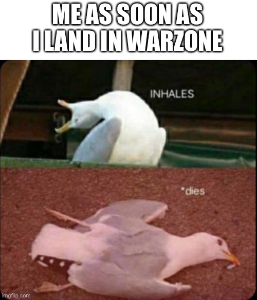 inhales dies bird | ME AS SOON AS I LAND IN WAR ZONE | image tagged in inhales dies bird | made w/ Imgflip meme maker