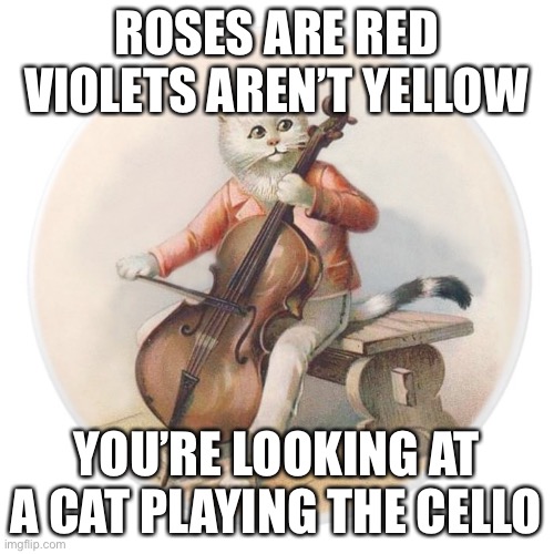 Cello Cat | ROSES ARE RED
VIOLETS AREN’T YELLOW; YOU’RE LOOKING AT A CAT PLAYING THE CELLO | image tagged in cat,lol | made w/ Imgflip meme maker