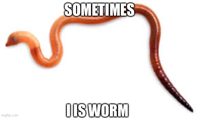Wormy | SOMETIMES; I IS WORM | image tagged in worms | made w/ Imgflip meme maker
