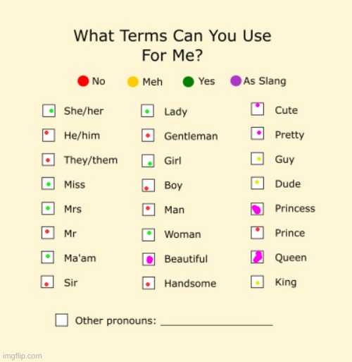 Pronouns Sheet | image tagged in pronouns sheet | made w/ Imgflip meme maker