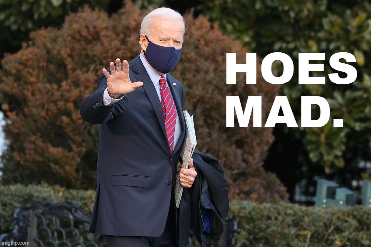 Joe Biden hoes mad Blank Meme Template