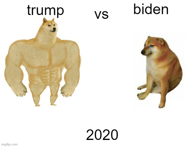 Buff Doge vs. Cheems | vs; biden; trump; 2020 | image tagged in memes,buff doge vs cheems | made w/ Imgflip meme maker