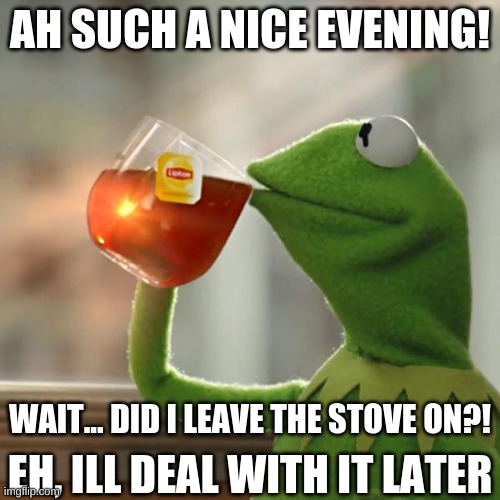 nothing will ruin my evening :) | AH SUCH A NICE EVENING! WAIT... DID I LEAVE THE STOVE ON?! EH, ILL DEAL WITH IT LATER | image tagged in memes,but that's none of my business,kermit the frog | made w/ Imgflip meme maker