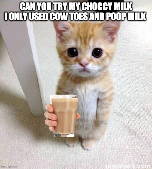 Cute Cat | CAN YOU TRY MY CHOCCY MILK I ONLY USED COW TOES AND POOP MILK | image tagged in memes,cute cat | made w/ Imgflip meme maker