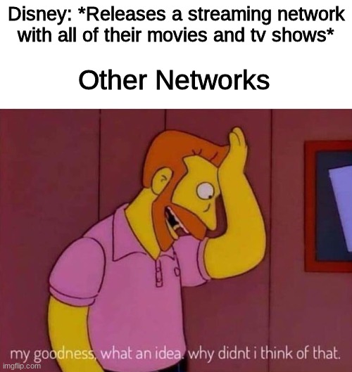 my goodness what an idea why didn't I think of that | Disney: *Releases a streaming network with all of their movies and tv shows*; Other Networks | image tagged in my goodness what an idea why didn't i think of that | made w/ Imgflip meme maker