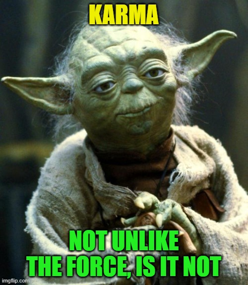 Star Wars Yoda Meme | KARMA NOT UNLIKE THE FORCE, IS IT NOT | image tagged in memes,star wars yoda | made w/ Imgflip meme maker