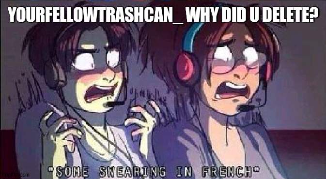 AOT some swearing in french | YOURFELLOWTRASHCAN_ WHY DID U DELETE? | image tagged in aot some swearing in french | made w/ Imgflip meme maker