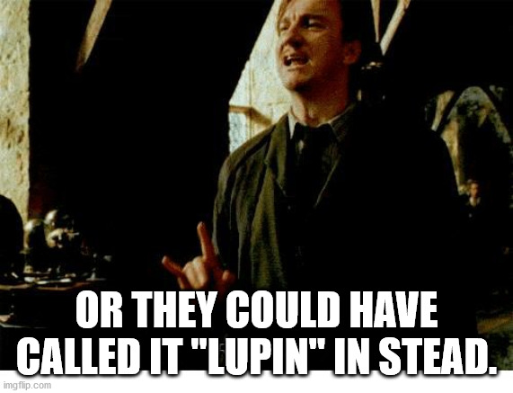 Lupin Riddikkulus | OR THEY COULD HAVE CALLED IT "LUPIN" IN STEAD. | image tagged in lupin riddikkulus | made w/ Imgflip meme maker