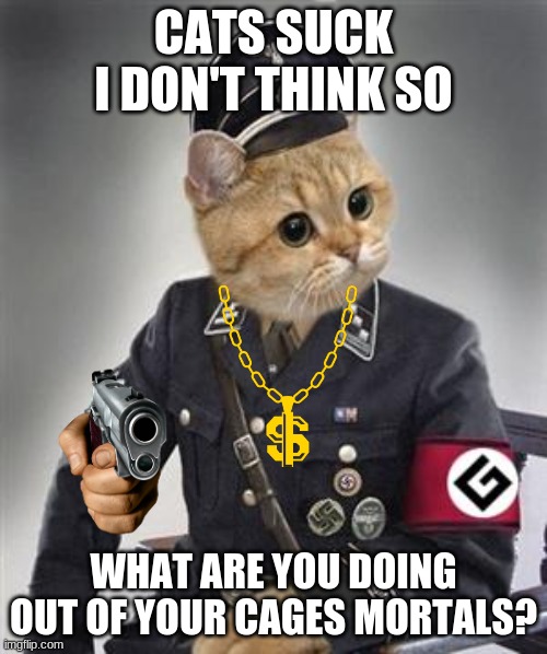 Grammar Nazi Cat |  CATS SUCK
I DON'T THINK SO; WHAT ARE YOU DOING OUT OF YOUR CAGES MORTALS? | image tagged in grammar nazi cat | made w/ Imgflip meme maker