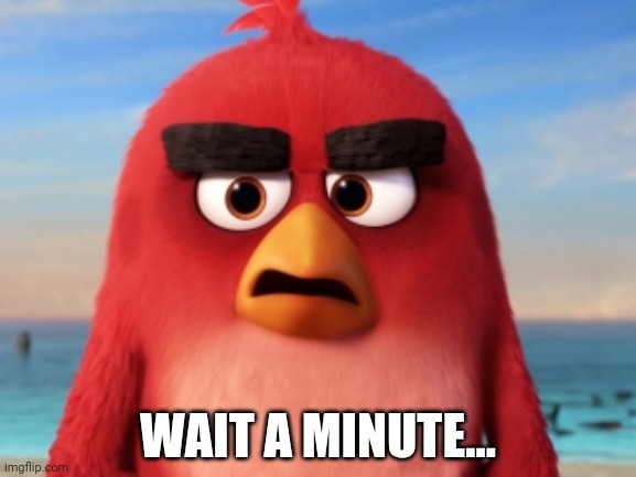 Angry Birds | WAIT A MINUTE... | image tagged in angry birds | made w/ Imgflip meme maker