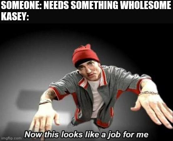 Now this looks like a job for me | SOMEONE: NEEDS SOMETHING WHOLESOME
KASEY: | image tagged in now this looks like a job for me | made w/ Imgflip meme maker