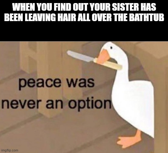 Peace was never an option | WHEN YOU FIND OUT YOUR SISTER HAS BEEN LEAVING HAIR ALL OVER THE BATHTUB | image tagged in peace was never an option | made w/ Imgflip meme maker