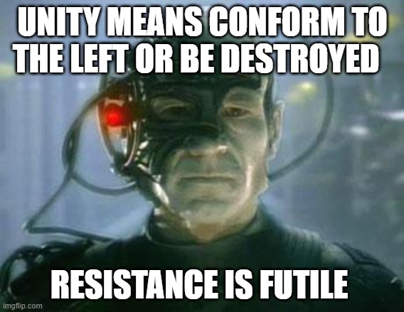 The Borg | UNITY MEANS CONFORM TO THE LEFT OR BE DESTROYED; RESISTANCE IS FUTILE | image tagged in the borg | made w/ Imgflip meme maker