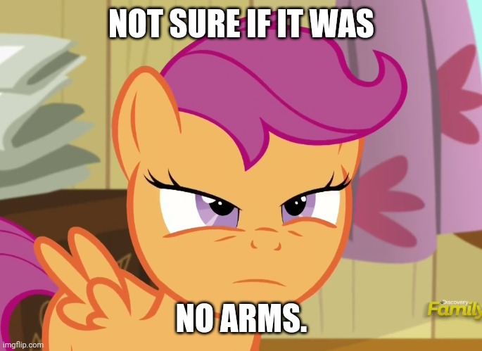 Suspicious Scootaloo (MLP) | NOT SURE IF IT WAS NO ARMS. | image tagged in suspicious scootaloo mlp | made w/ Imgflip meme maker