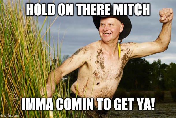 Turtleman | HOLD ON THERE MITCH IMMA COMIN TO GET YA! | image tagged in turtleman | made w/ Imgflip meme maker