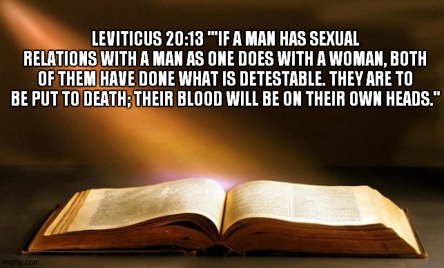 Bible  | LEVITICUS 20:13 "'IF A MAN HAS SEXUAL RELATIONS WITH A MAN AS ONE DOES WITH A WOMAN, BOTH OF THEM HAVE DONE WHAT IS DETESTABLE. THEY ARE TO BE PUT TO DEATH; THEIR BLOOD WILL BE ON THEIR OWN HEADS." | image tagged in bible | made w/ Imgflip meme maker