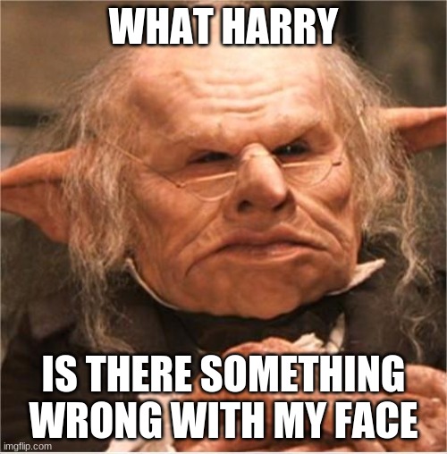 harry potter goblin | WHAT HARRY; IS THERE SOMETHING WRONG WITH MY FACE | image tagged in harry potter goblin | made w/ Imgflip meme maker