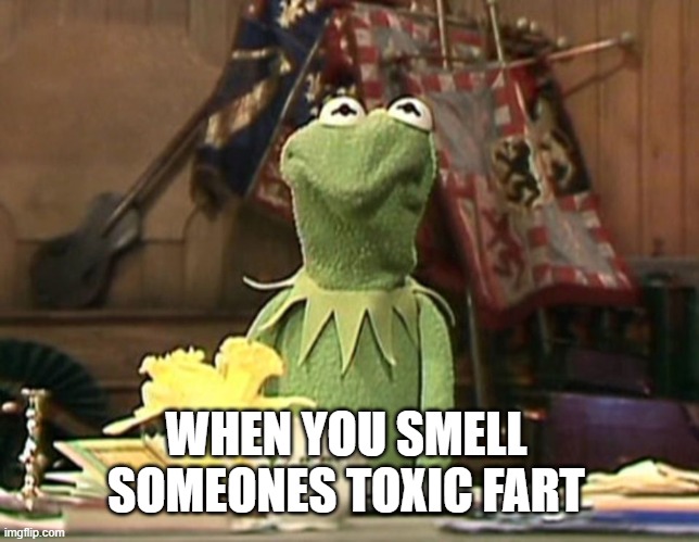 toxic fart kermit | WHEN YOU SMELL SOMEONES TOXIC FART | image tagged in kermit face | made w/ Imgflip meme maker
