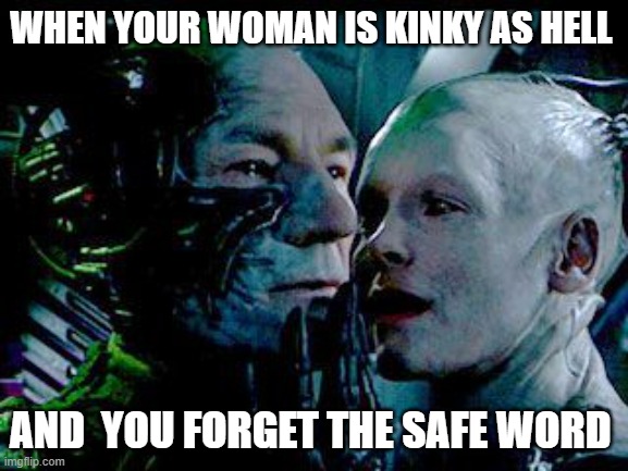 borg | WHEN YOUR WOMAN IS KINKY AS HELL; AND  YOU FORGET THE SAFE WORD | image tagged in borg | made w/ Imgflip meme maker