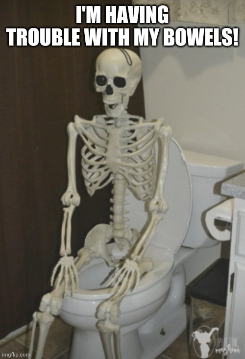 I'M HAVING TROUBLE WITH MY BOWELS! | image tagged in sitting boney | made w/ Imgflip meme maker