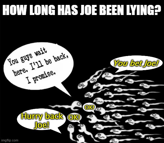 sperm race | HOW LONG HAS JOE BEEN LYING? You bet Joe! OK! Hurry back
Joe! OK! | image tagged in political humor,political meme,joe biden,lying joe biden,promises,sperm | made w/ Imgflip meme maker