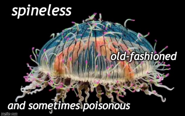 Does the GOP need a new mascot this week? | image tagged in gop,jellyfish,republicans | made w/ Imgflip meme maker