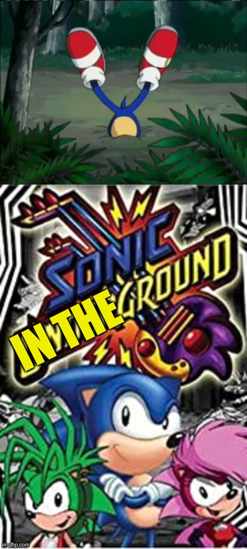 sonic in the ground! | IN THE | image tagged in sonic,sonic underground,sonic the hedgehog | made w/ Imgflip meme maker