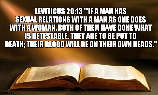 can i get an amen? | LEVITICUS 20:13 "'IF A MAN HAS SEXUAL RELATIONS WITH A MAN AS ONE DOES WITH A WOMAN, BOTH OF THEM HAVE DONE WHAT IS DETESTABLE. THEY ARE TO BE PUT TO DEATH; THEIR BLOOD WILL BE ON THEIR OWN HEADS." | image tagged in bible | made w/ Imgflip meme maker