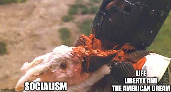 You get it. | LIFE LIBERTY AND THE AMERICAN DREAM; SOCIALISM | image tagged in bun bun,socialism,america,freedom | made w/ Imgflip meme maker