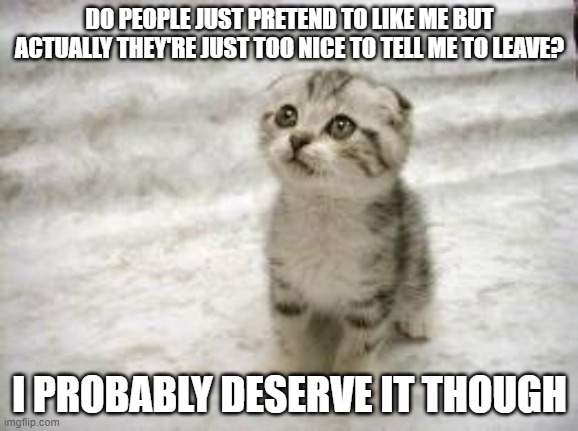 Sad Cat | DO PEOPLE JUST PRETEND TO LIKE ME BUT ACTUALLY THEY'RE JUST TOO NICE TO TELL ME TO LEAVE? I PROBABLY DESERVE IT THOUGH | image tagged in memes,sad cat | made w/ Imgflip meme maker