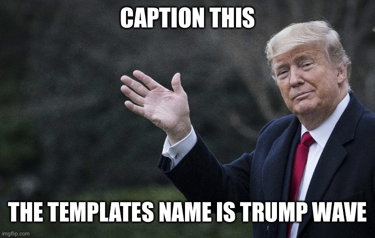 Trump wave | CAPTION THIS; THE TEMPLATES NAME IS TRUMP WAVE | image tagged in trump wave,caption this | made w/ Imgflip meme maker