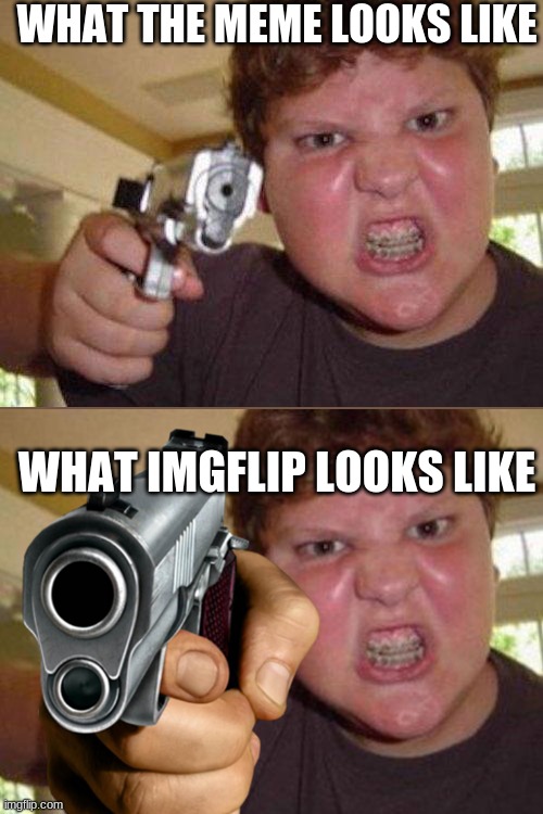WHAT THE MEME LOOKS LIKE; WHAT IMGFLIP LOOKS LIKE | image tagged in minecrafter | made w/ Imgflip meme maker