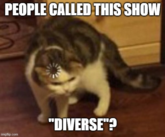 Loading cat | PEOPLE CALLED THIS SHOW "DIVERSE"? | image tagged in loading cat | made w/ Imgflip meme maker