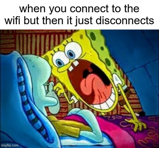 wifi | when you connect to the wifi but then it just disconnects | image tagged in spongebob yelling | made w/ Imgflip meme maker