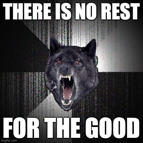 Insanity Wolf Meme | THERE IS NO REST; FOR THE GOOD | image tagged in memes,insanity wolf,altruism | made w/ Imgflip meme maker