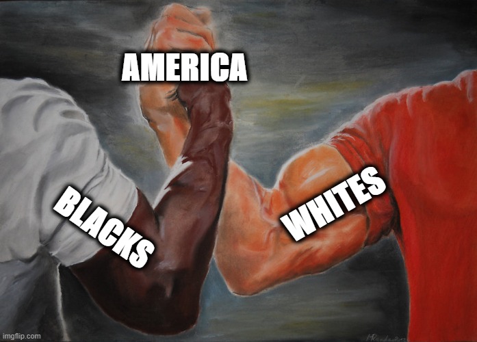 Epic Handshake Meme | AMERICA; WHITES; BLACKS | image tagged in memes,epic handshake | made w/ Imgflip meme maker