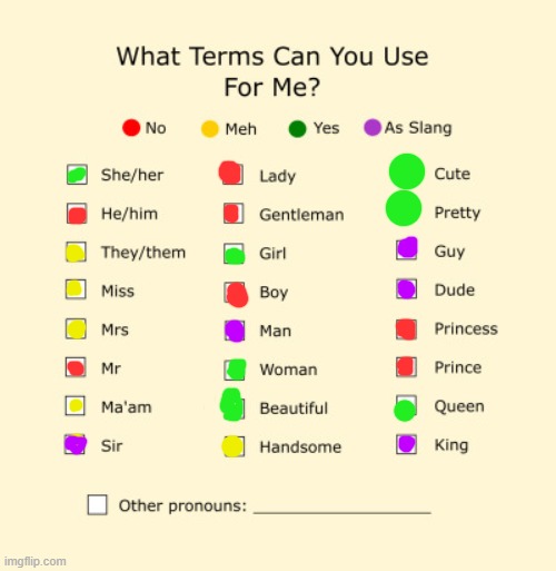 Pronouns Sheet | image tagged in pronouns sheet | made w/ Imgflip meme maker