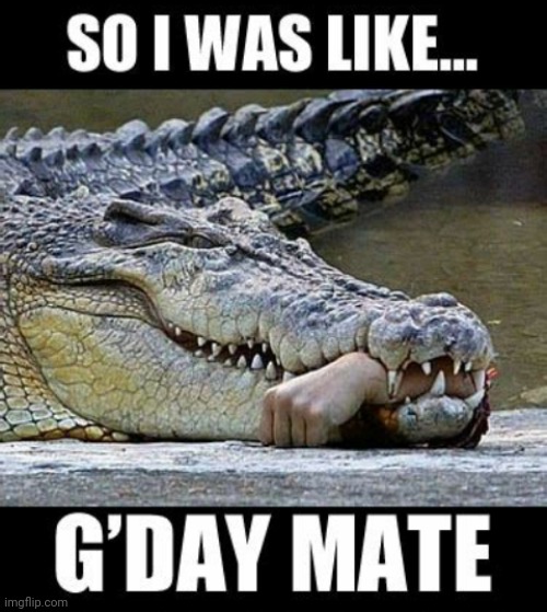 image tagged in crocs | made w/ Imgflip meme maker