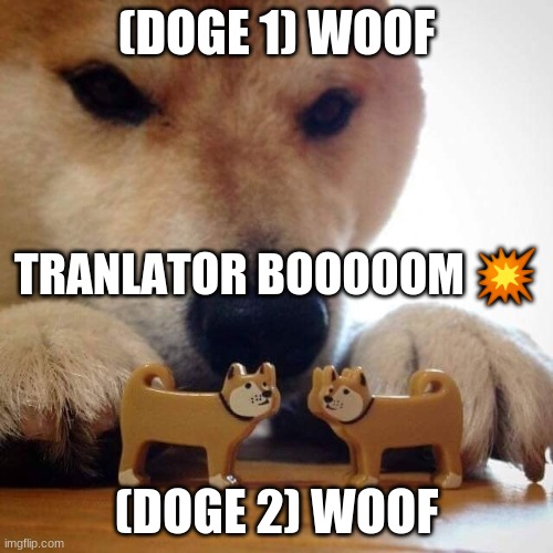 Now Kiss Doge | (DOGE 1) WOOF; TRANLATOR BOOOOOM 💥; (DOGE 2) WOOF | image tagged in now kiss doge | made w/ Imgflip meme maker